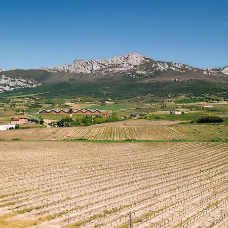 Entre Vinedos Holiday home Laguardia